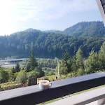 Chalet тк карпатські