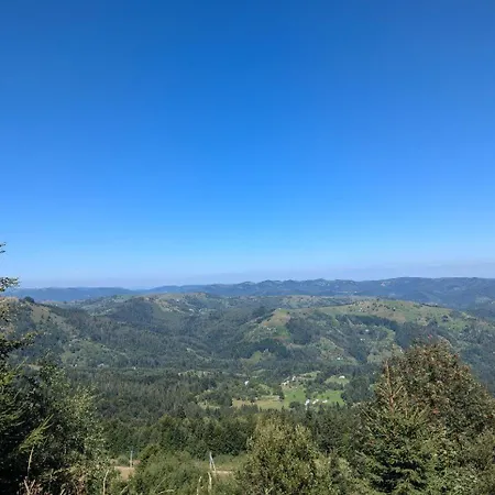 тк карпатські